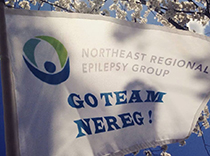 Northeast Regional Epilepsy Group flag in DC