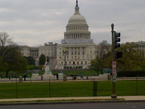 Walking for epilepsy at Washington, DC