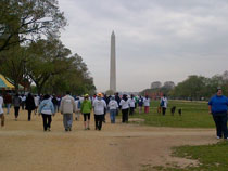 Walkers for epilepsy at Washington, DC